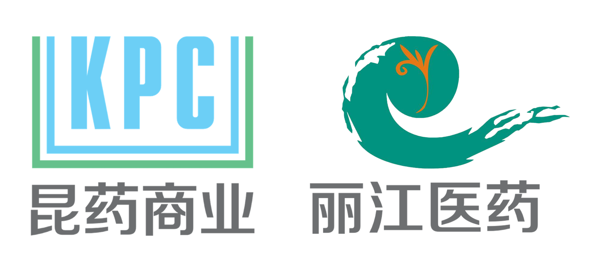 云南省丽江医药有限公司